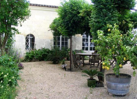 Chateau Belles Graves Pomérols Exterior photo